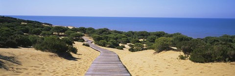 Framed Boardwalk on the beach, Cuesta De Maneli, Donana National Park, Huelva Province, Spain Print