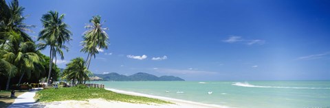 Framed Palm trees on the beach, Penang State, Malaysia Print