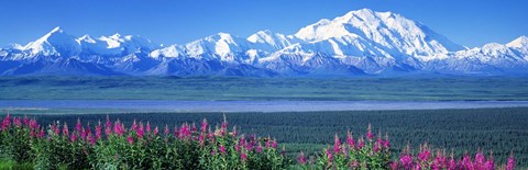 Framed Mountains &amp; Lake Denali National Park AK USA Print