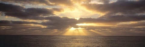 Framed Sunset Sub Antarctic Australia Print