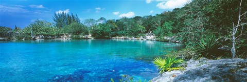 Framed Cozumel, Mexico Print