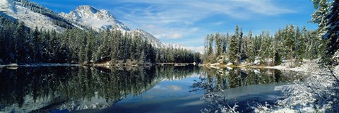 Framed Reflection of trees in a lake, Yellowstone National Park, Wyoming, USA Print