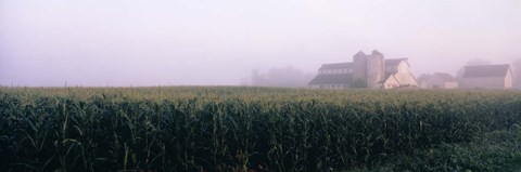 Framed Barn in a field, Illinois, USA Print