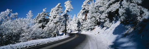 Framed Road passing through a forest, Lake Arrowhead, San Bernardino County, California, USA Print
