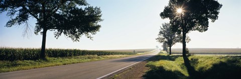 Framed Road passing through fields, Illinois Route 64, Illinois, USA Print