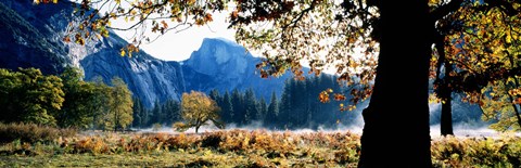 Framed Half Dome, Yosemite National Park, California, USA Print