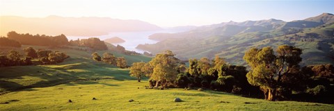 Framed Akaroa Harbor Canterbury New Zealand Print