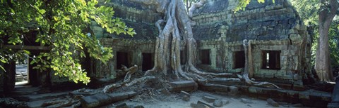 Framed Wat Temple Complex of Ta-Prohm Cambodia Print