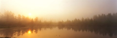 Framed Misty Morning, Volvo Bog, Illinois, USA Print