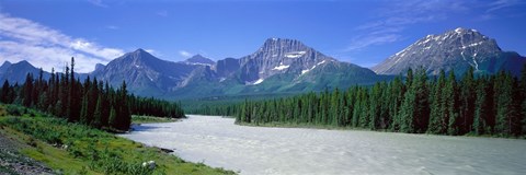 Framed Rocky Mountains Near Jasper, Alberta Canada Print