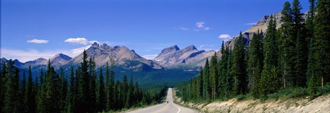 Framed Road In Canadian Rockies, Alberta, Canada Print