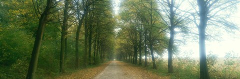 Framed Road With Fog, France Print