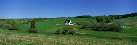 Framed Summer Fields And Houses, Prince Edward Island, Canada Print