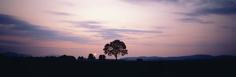 Framed Night Schwangau Germany Print