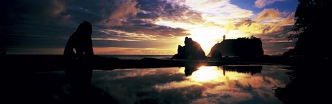 Framed Sea Stacks Rialto Beach Olympic National Park WA USA Print