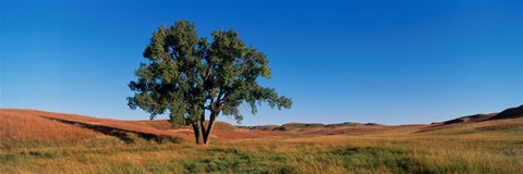 Framed Wind Cave National Park, South Dakota, USA Print