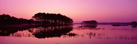 Framed Panoramic View Of The National Forest During Sunset, Chincoteague National Wildlife Refuge, Virginia, USA Print