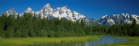 Framed Trees along a river, Near Schwabachers Landing, Grand Teton National Park, Wyoming Print
