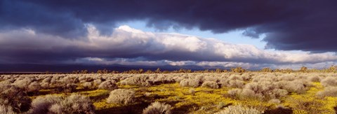 Framed Clouds, Mojave Desert, California, USA Print