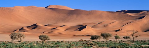 Framed Africa, Namibia, Namib Desert Print