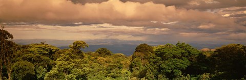 Framed Monteverde Puntarenas Province Costa Rica Print