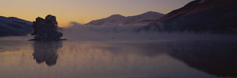 Framed Silhouette of a tree in a lake, Loch Tay, Tayside region, Scotland Print