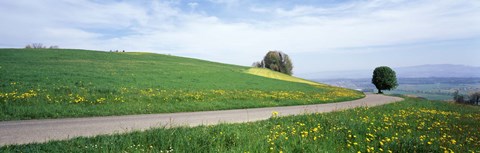 Framed Road Fields Aargau Switzerland Print