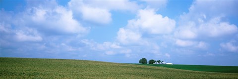 Framed Panoramic view of a landscape, Marshall County, Iowa, USA Print