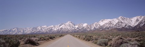 Framed USA, California, Sierra Nevada, Bushes on both sides of a road Print