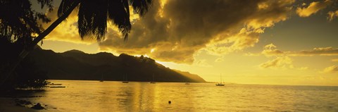 Framed Silhouette Of Palm Trees At Dusk, Cooks Bay, Moorea, French Polynesia Print