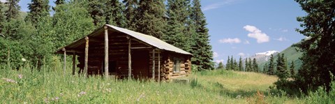 Framed Log Cabin In A Field, Kenai Peninsula, Alaska, USA Print