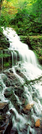 Framed Ganoga Falls Ricketts Glenn State Park PA Print