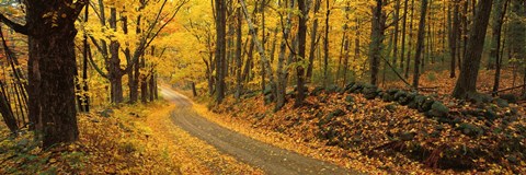 Framed Fall woods Monadnock NH USA Print