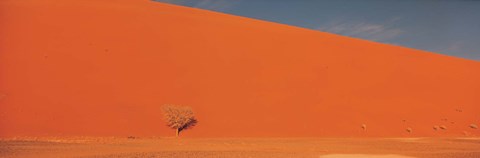 Framed Single tree in desert Namibia Print