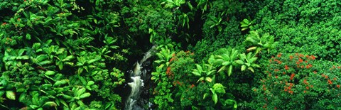 Framed Hamakua Coast, Hawaii, Hawaii, USA Print