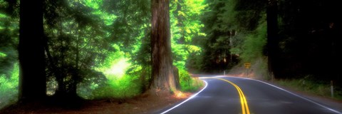 Framed Road, Redwoods, Mendocino County, California, USA Print