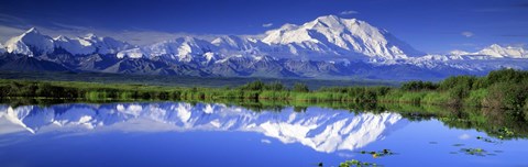 Framed Alaska Range, Denali National Park, Alaska, USA Print
