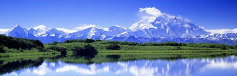 Framed Reflection Pond, Mount Mckinley, Denali National Park, Alaska, USA Print