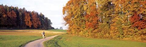 Framed Woman On Horse, Cantone Zug, Switzerland Print