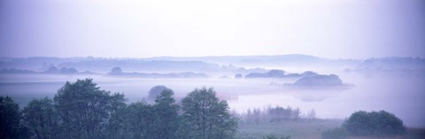 Framed Foggy Landscape Northern Germany Print
