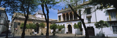 Framed Trees in front of buildings, Convento San Leandro, Plaza Pilatos, Seville, Spain Print