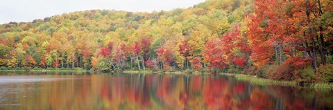 Framed Savoy Mountain State Forest, Massachusetts, USA Print