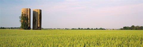 Framed USA, Arkansas, View of grain silos in a field Print