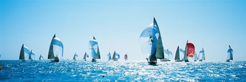Framed Sailboat Race, Key West Florida, USA Print