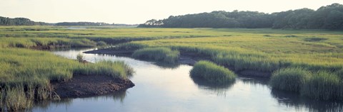 Framed Salt Marsh Cape Cod MA USA Print