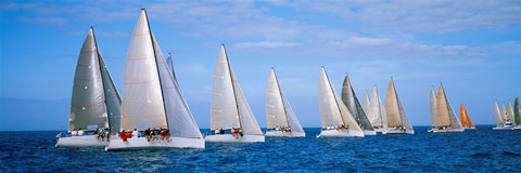 Framed Yachts in the ocean, Key West, Florida, USA Print