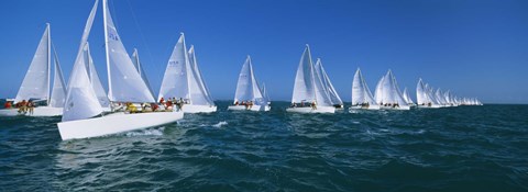 Framed Sailboats racing in the ocean, Key West, Florida Print