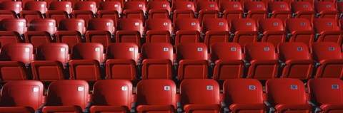 Framed Stadium Seats Print