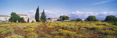 Framed Buildings in a field, Majorca, Spain Print
