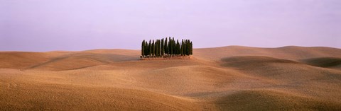 Framed Trees on a rolling landscape, Tuscany, Italy Print